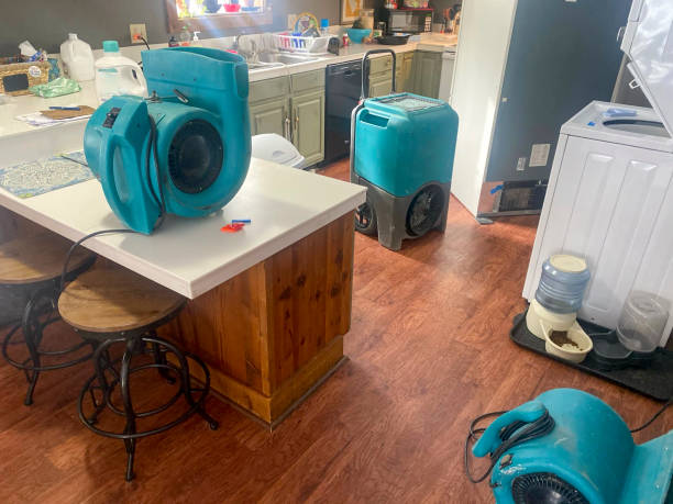 Best Water damage restoration near me  in Konawa, OK