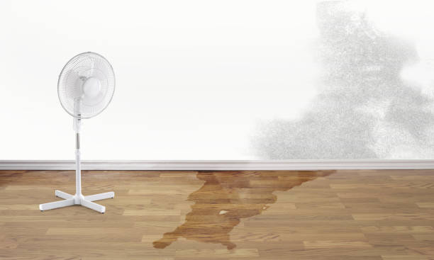 Water damage restoration mold remediation in Konawa, OK